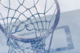 米兰体育报-中国篮球战术体系的演变历程,篮球战术体系有哪些