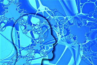 米兰体育平台-中国足球青训体系人才培养新策略,中国足球青训体系人才培养新策略有哪些